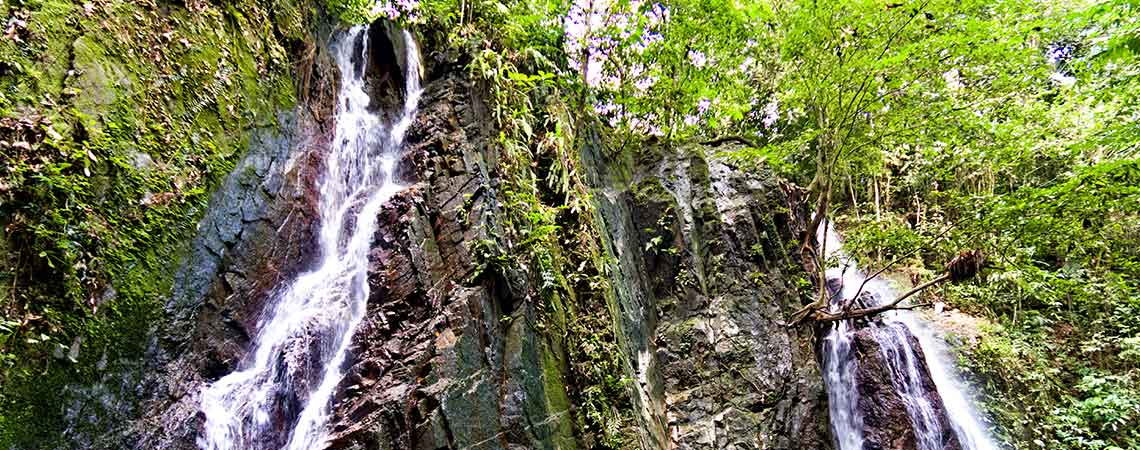 Randonnée à la cascade « Pisang » aka Pisang Waterfall